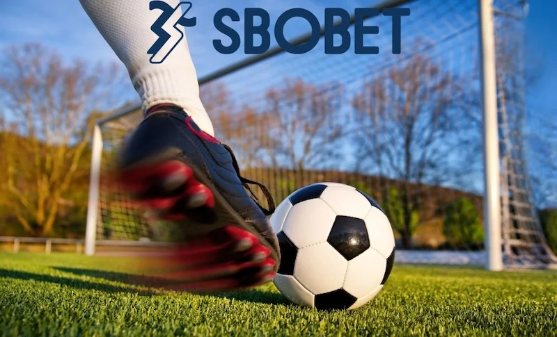 Kinh nghiệm để tham gia SBOBET cá cược thể thao thành công
