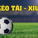 cách cược tài xỉu bóng đá